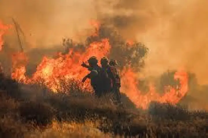 Incêndios florestais ameaçam Atenas e Creta