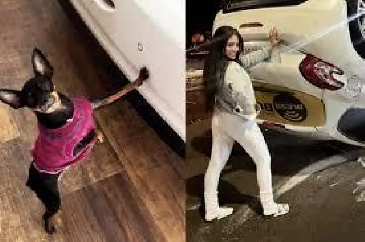 Influencer capota carro e faz selfie: “Rindo da minha desgraça”