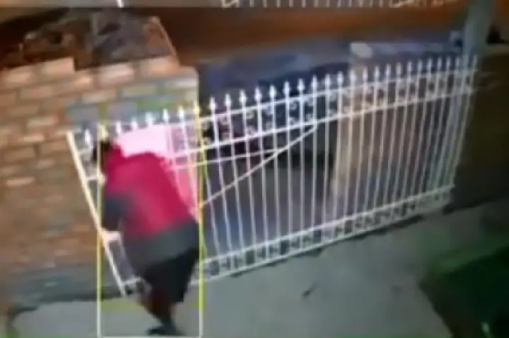Ladrão pega objetos e quase leva portão de casa em Bauru; VÍDEO