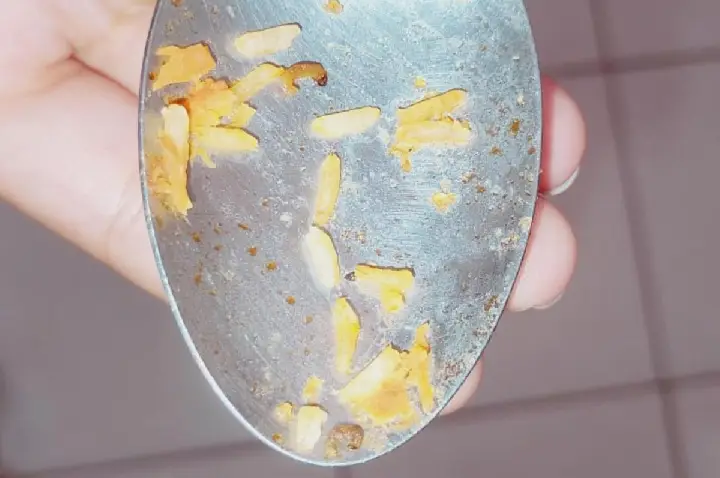 Laudo descarta contaminação em arroz com larva; prefeitura faz BO
