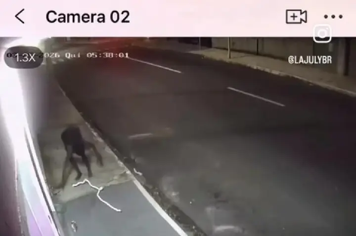 Loja tem ar-condicionado danificado após furto em Bauru; VÍDEO