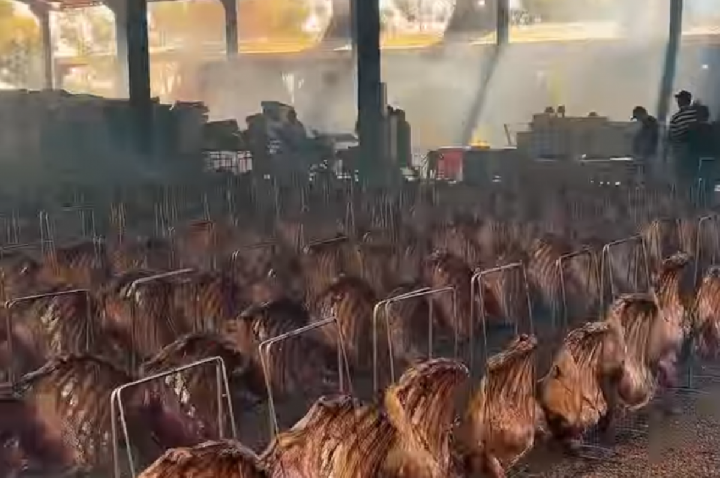 Maior churrasco de Dia do Trabalhador do mundo é brasileiro; VEJA