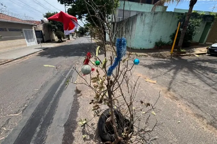 Moradores transformam buraco em 'árvore de Natal' em Bauru