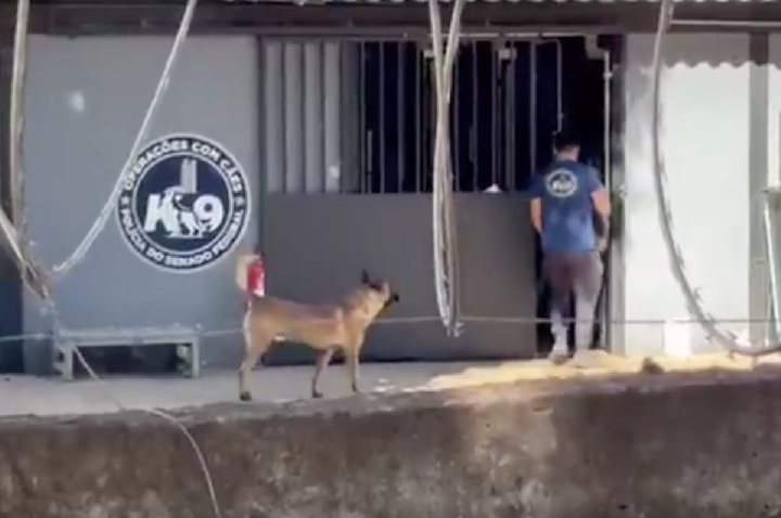 Morre veterinária mordida no pescoço por cachorro do Senado