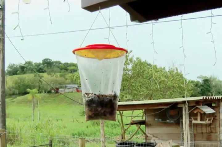 Moscas invadem casas e moradores não podem nem cozinhar