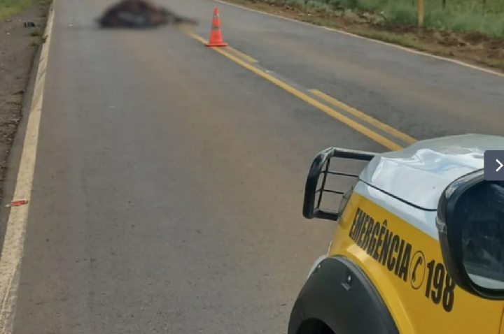 Motociclista atinge cavalo, cai na pista contrária e é atropelado