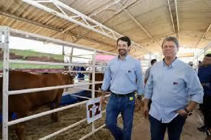 MP-SP apura desvios e cita interferência da gestão Tarcísio