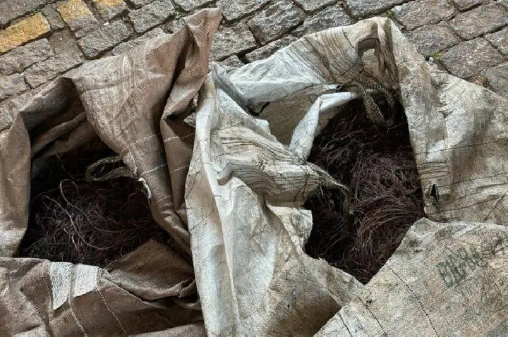 Mulher é presa com mais de 200 quilos de fios de cobre em ferro-velho na zona Sul