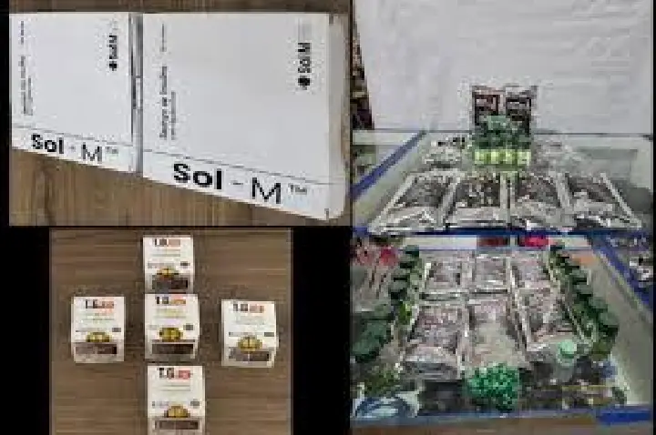 Mulher é presa na região de Bauru por vender Mounjaro ilegalmente