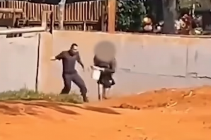 Mulher invade área de elefante no zoo de Brasília; VÍDEO