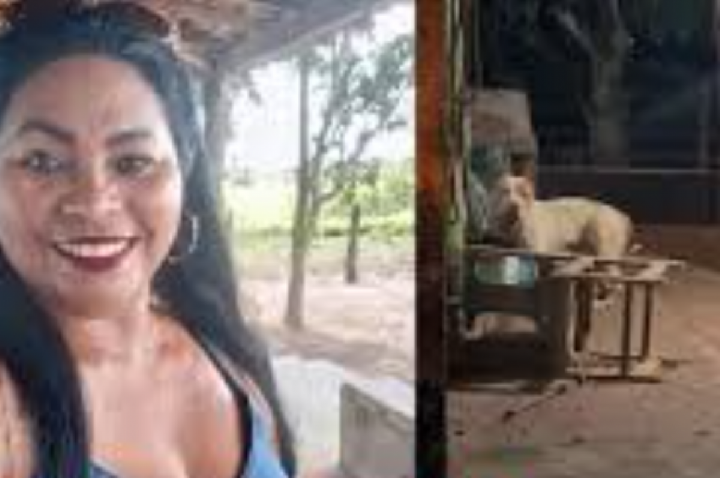 Mulher morre atacada pelo próprio pitbull de estimação