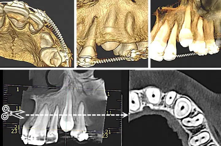 Nada de procedimentos sem imagens e avaliação da saúde geral