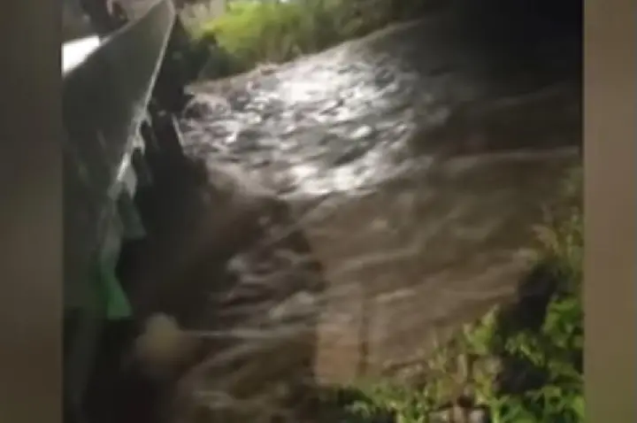 O que explica a chuva acima da média neste fevereiro?