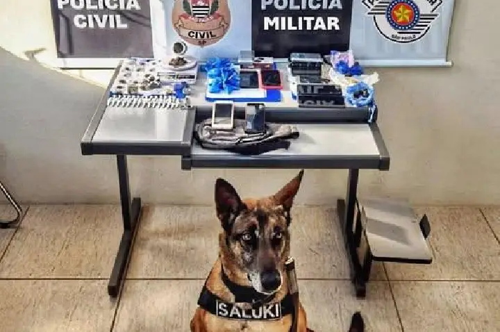 Operação conjunta da Polícia Militar e Polícia Civil resulta na prisão de quatro pessoas em Reginópolis