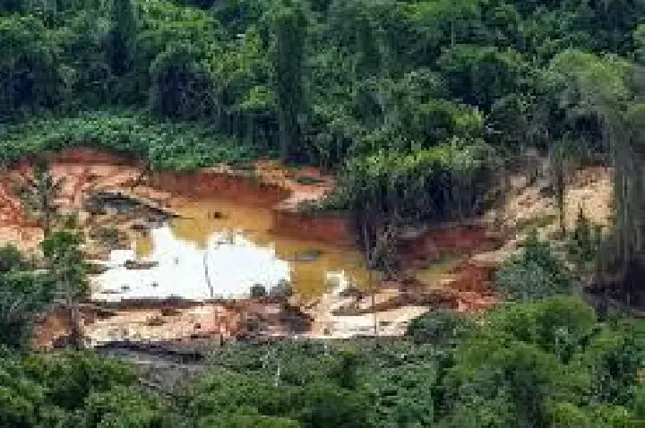 Ouro rende mais que coca, mas traficantes 'evitam' garimpeiros