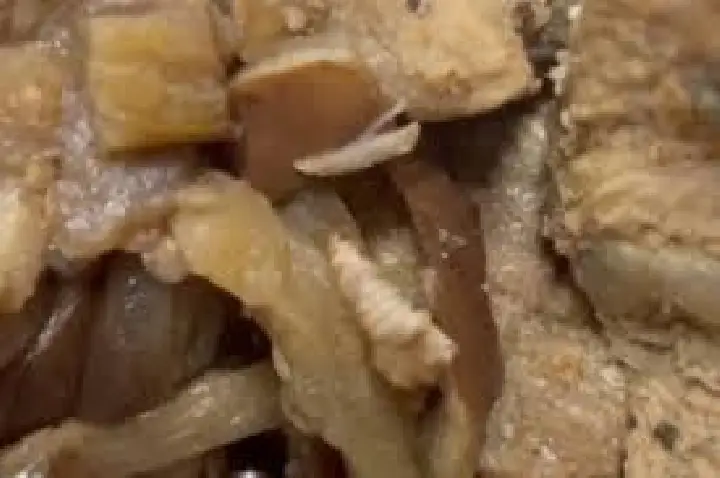 Paciente com câncer recebeu comida com larva em hospital no Rio