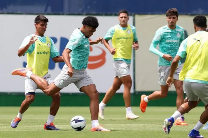 Palmeiras e Novorizontino decidem título neste domingo