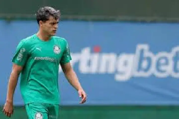 Palmeiras pode ter dois retornos importantes para o Brasileiro