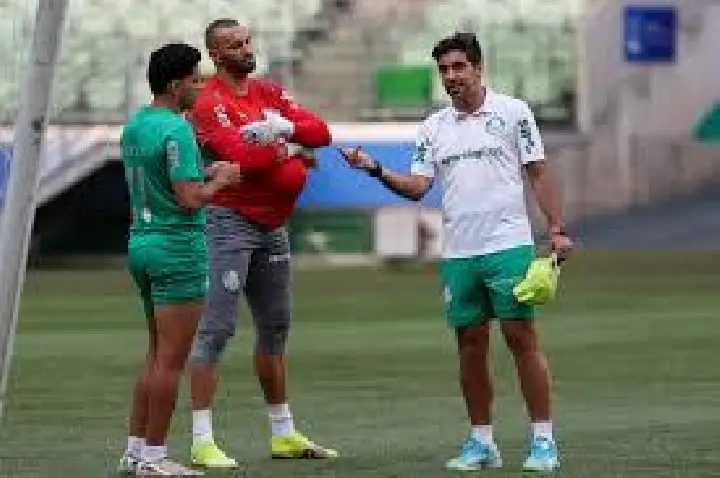 Palmeiras supera Data Fifa com soluções, e Flamengo tem retorno