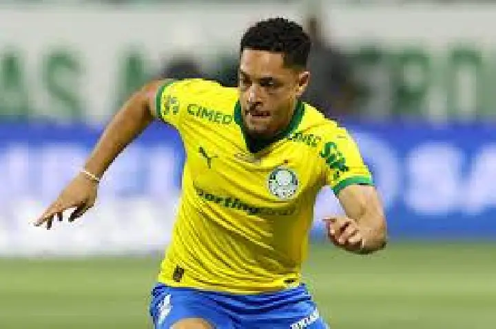 Palmeiras tem quase 13% de vantagem contra o Flamengo