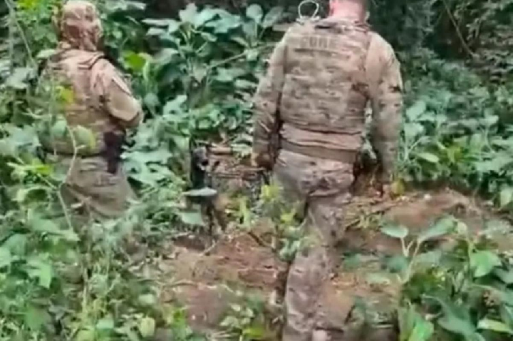 PC acha cabeça humana após explosão em suposto cemitério ilegal
