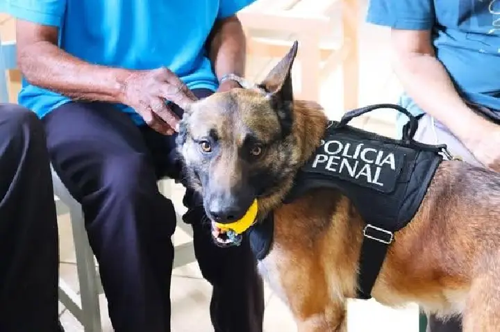 Pirajuí: cão da Polícia Penal é usado em ações terapêuticas no Lar de Idosos 