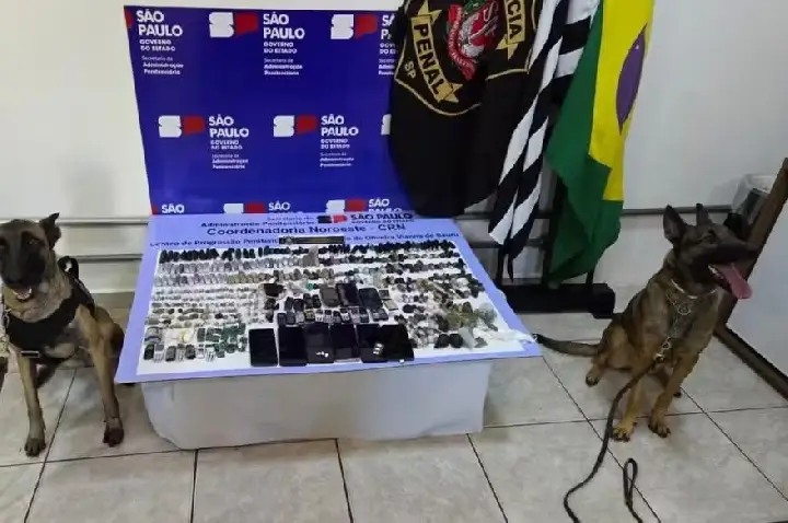 Pirajuí tem duas cadelas famosas e muito eficientes no combate ao tráfico de drogas
