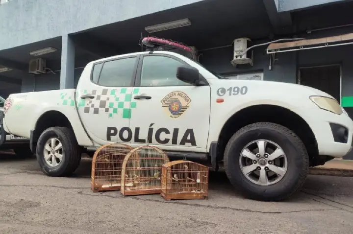 PM Ambiental multa 2 em R$ 9 mil por animais irregulares em Bauru