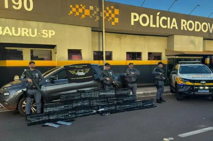 PM Rodoviária apreende carga de maconha estimada de R$ 390 mil