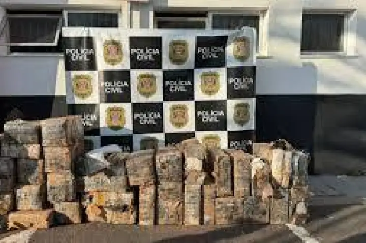 Polícia apreende quase 900 kg de maconha em sítio de Atibaia