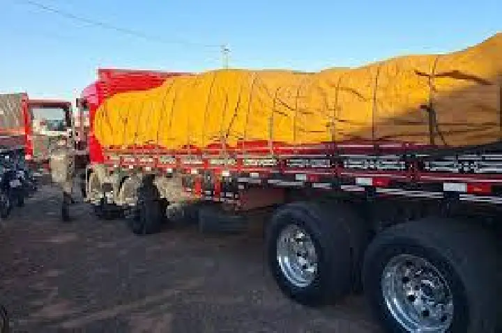 Polícia apreende R$ 10 milhões em drogas escondidas em caminhão