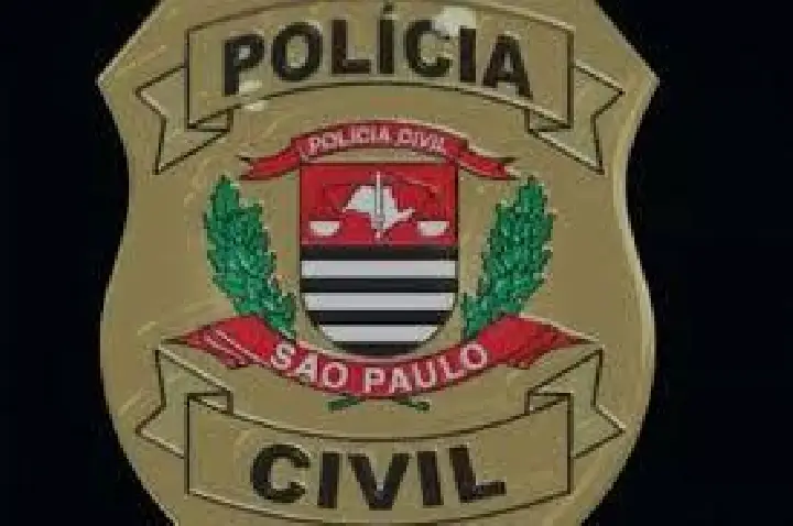 Polícia Civil de Pirajuí prende homem por roubar a própria mãe