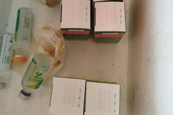 Polícia Civil flagra abrigo irregular de idosos e dona é autuada