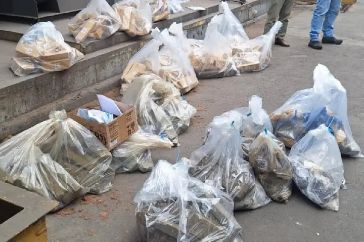 Polícia Civil incinera 350 kg de drogas apreendidas na região