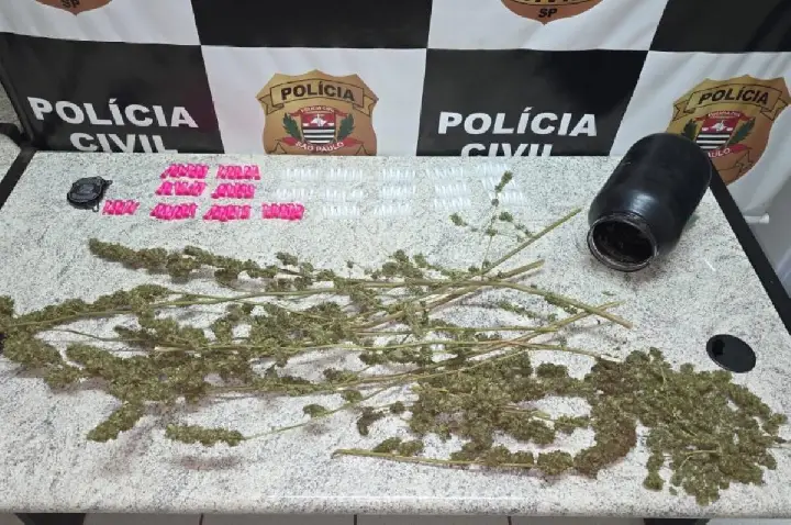 Polícia cumpre mandado e apreende drogas em apuração por tráfico
