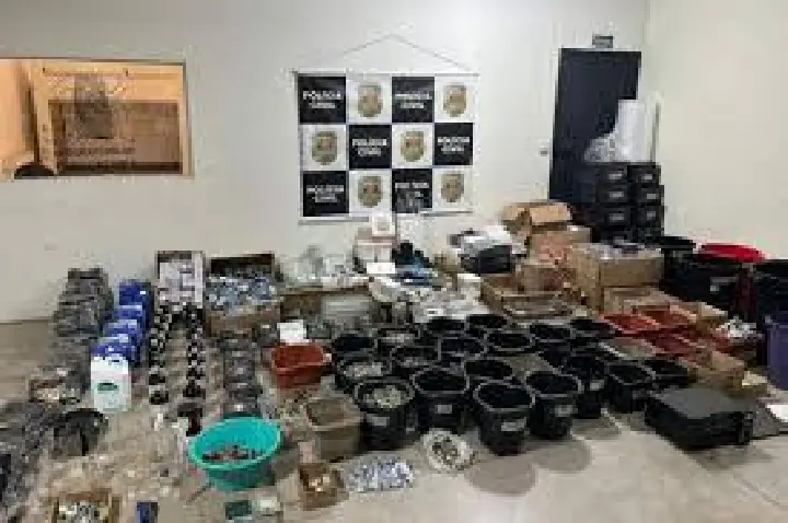 Polícia fecha laboratório milionário de anabolizantes em Bauru