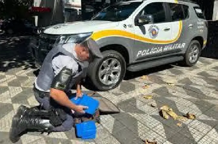 Polícia Rodoviária flagra 7 kg de maconha dentro de mala em Bauru