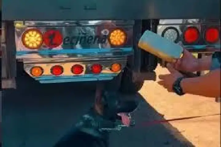 Polícia Rodoviária supera 2024 em drogas apreendidas nas rodovias