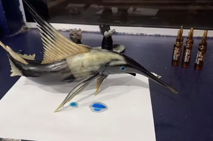 PRF encontra cocaína escondida em escultura de peixe