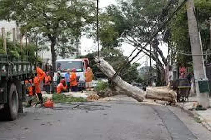 Rajadas de até 60 km/h derrubam árvores e atingem fiação em Bauru
