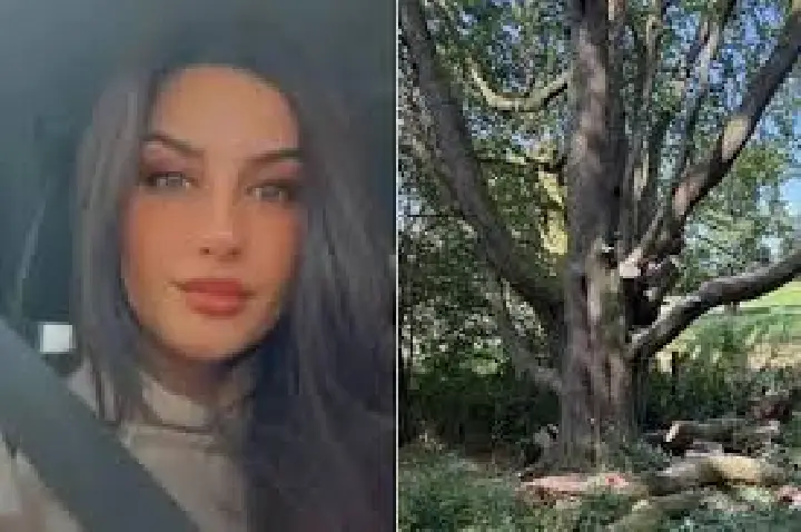 Salvou filha de 5 anos, mas foi atingida por galho e morreu