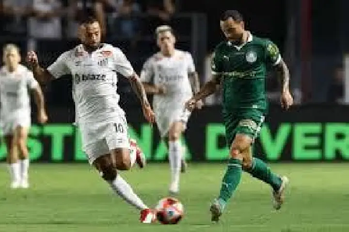 Santos não quer adiar clássico contra o Palmeiras e cobra CBF