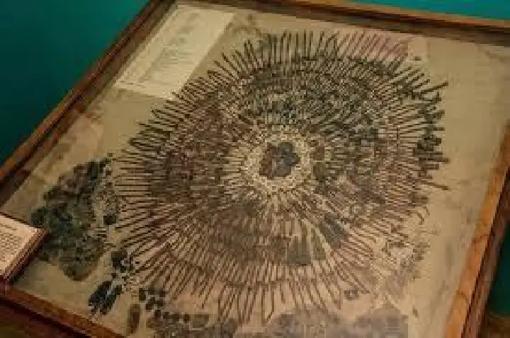 Síndrome de pica faz homem engolir caneta e material médico no PR