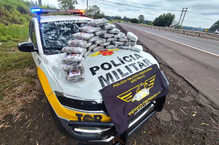 Skunk escondido em forno leva homem à prisão na Marechal Rondon