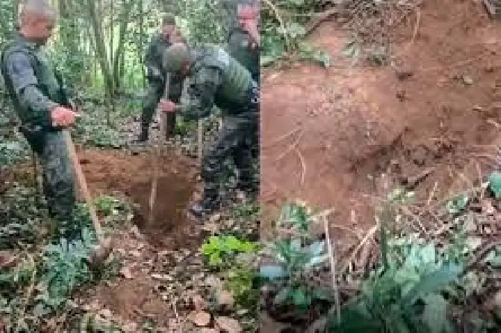 Sobe para 15 o número de ossadas achadas em cemitério clandestino