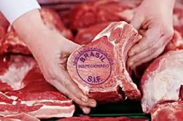 Tarifaço trava R$160 milhões em carne brasileira para exportação