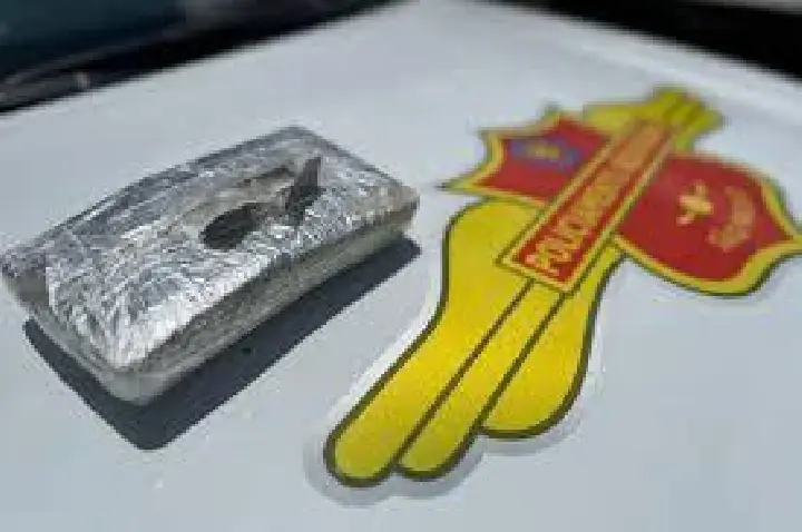 Tático Ostensivo Rodoviário prende passageiro com 1 kg de droga