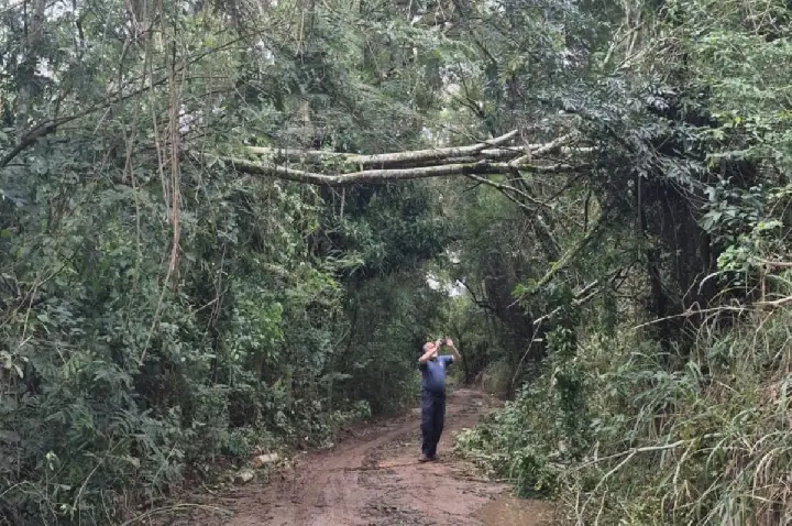 Temporal causou impacto ambiental na zona rural de Bauru; VÍDEO