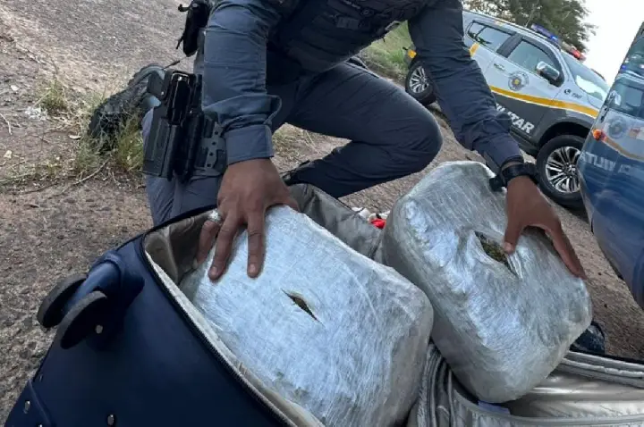 TOR Bauru apreende 8 quilos de skunk na Raposo Tavares; VÍDEO