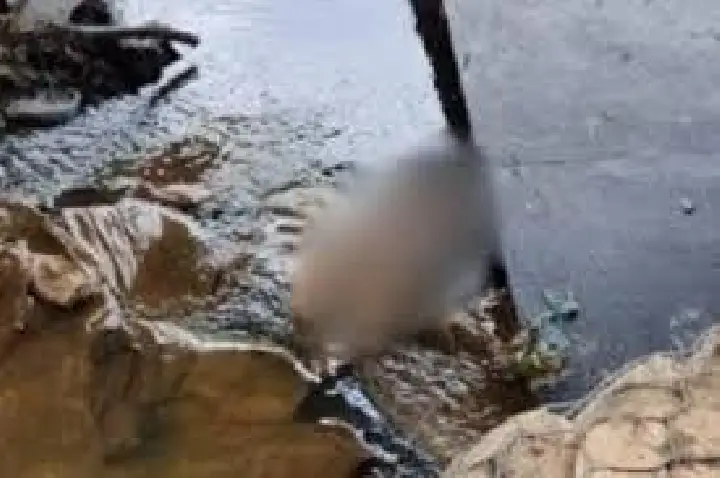 Trabalhadores encontram corpo boiando perto de obra